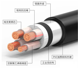 YJV22铠装电缆示意图